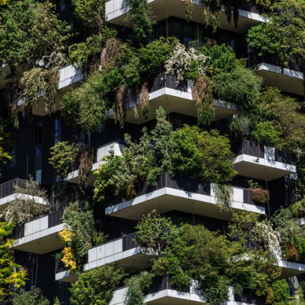 MILAN, ITALY - MAY 20: A general picture shows a detail of the so called Bosco Verticale (Vertical Forest), a pair of residential towers designed by Italian architect Stefano Boeri and located in the Porta Nuova district on May 20, 2021 in Milan, Italy. (Photo by Emanuele Cremaschi/Getty Images)